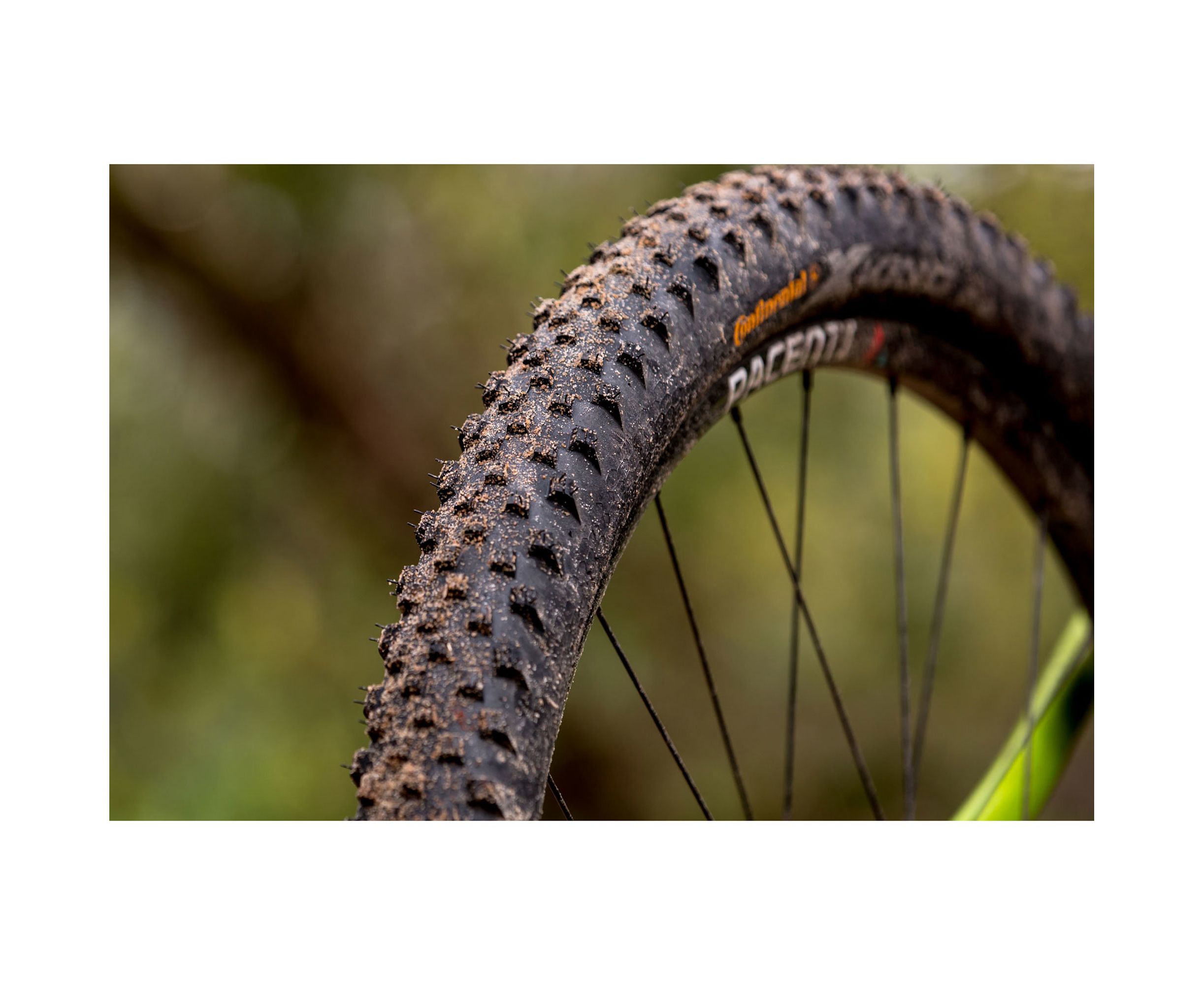 X king. Continental Cross King 26 x 2.3. Continental Cross King 27.5 2.20. Continental Cross King 2.0. Покрышка Continental Cross King 2.0 24.