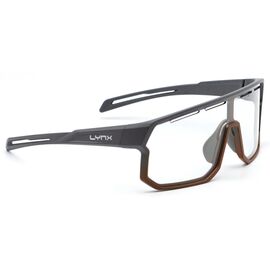 Очки LYNX Bismarck PH GC, upper matt gray,lower copper /clear photochromic, Цвет: Серый