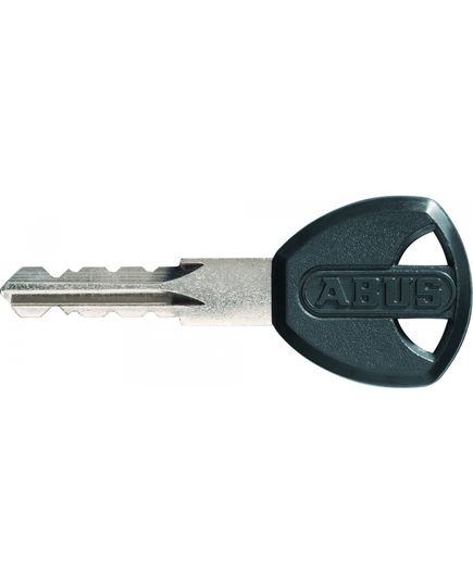 Замок с цепью ABUS 8807K/110 Steel-O-Chain Black, изображение 2