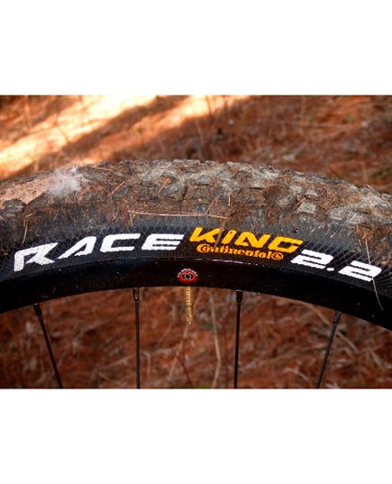 Покришка Continental Race King 29x2.20 чорна, не складана skin, зображення 3