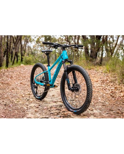 Велосипед Polygon Xtrada 24 blue, зображення 3