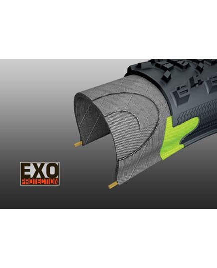 Покришка Maxxis ASPEN 29X2.25 TPI-120 Foldable EXO/TR, зображення 3